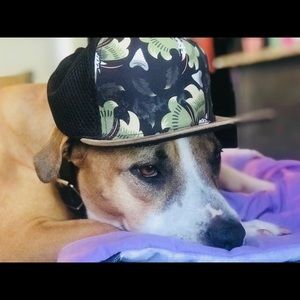 Meet your Posher, Danny